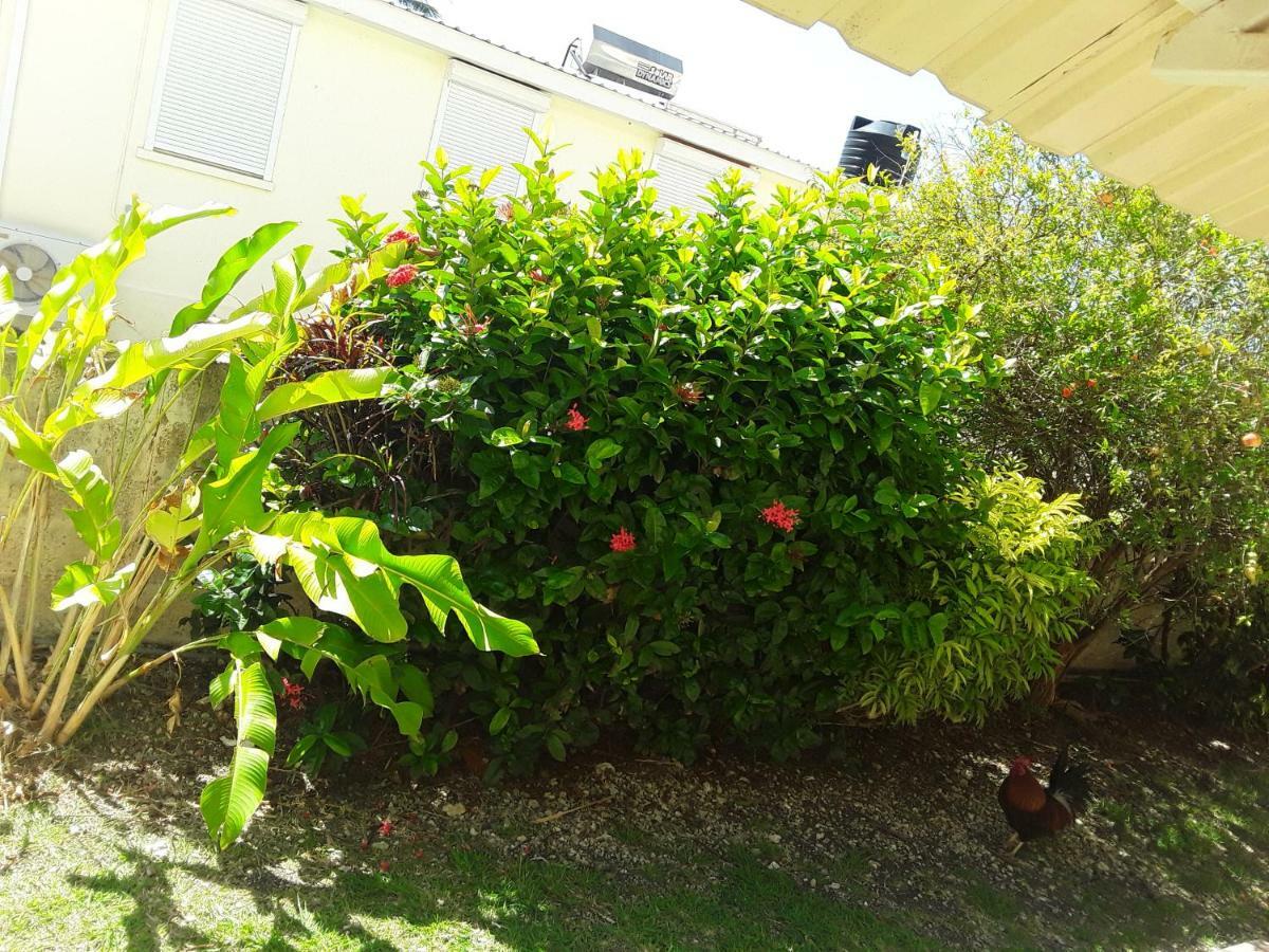 Carib Blue Apartments Oistins Luaran gambar
